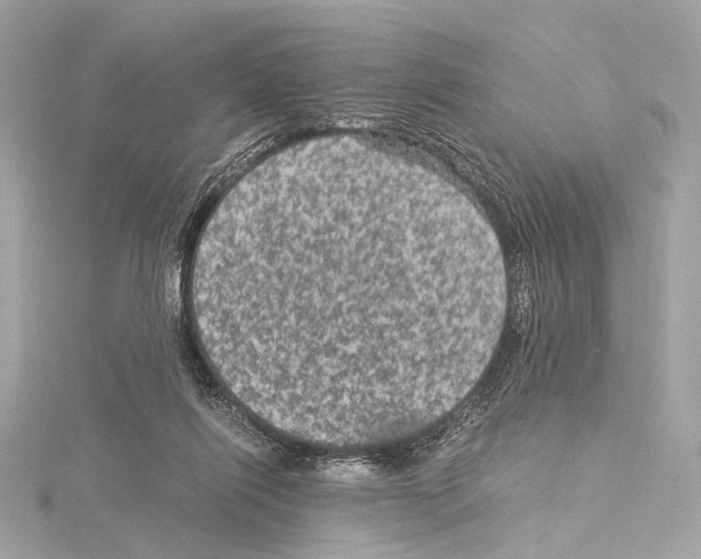 X0000115060262200912071157