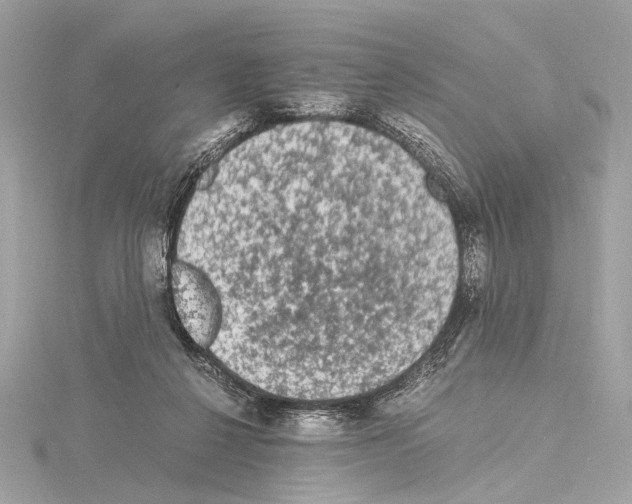 X0000115060264200912071157