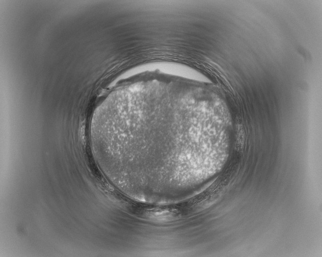 X0000115060267200912071157