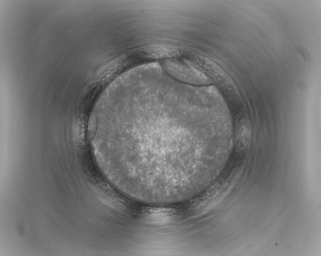 X0000115060268200912071157