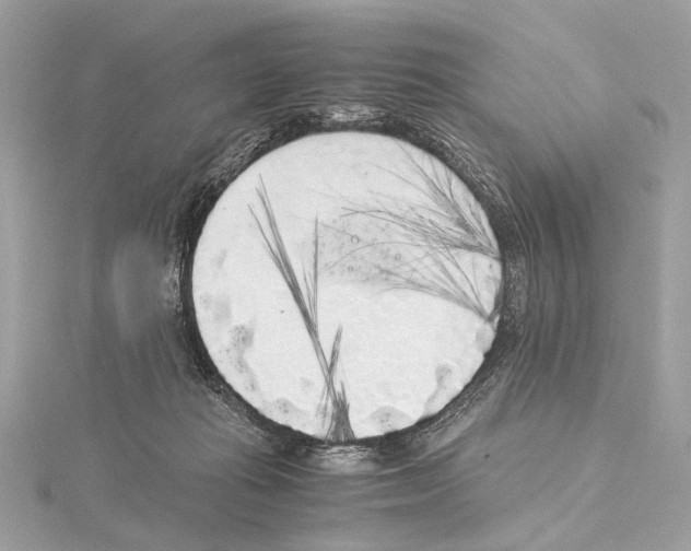 X0000115060269200912071157