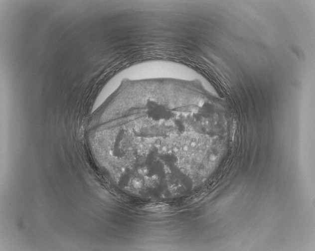 X0000115060271200912071157