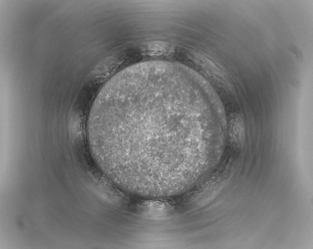 X0000115060272200912071157