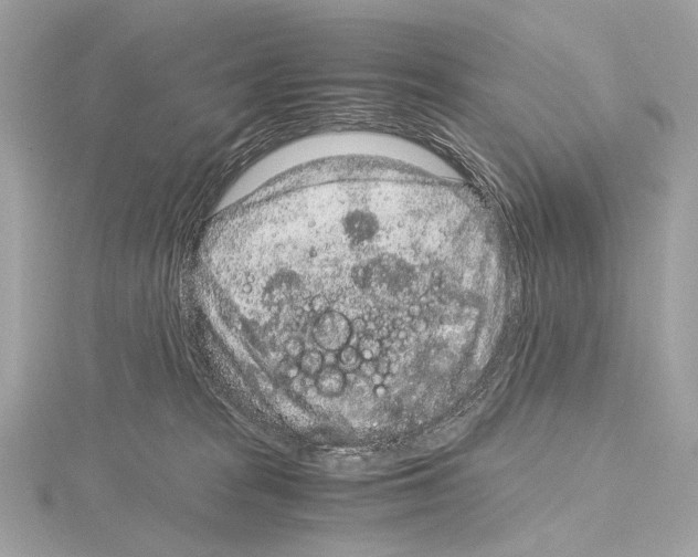 X0000115060277200912071157