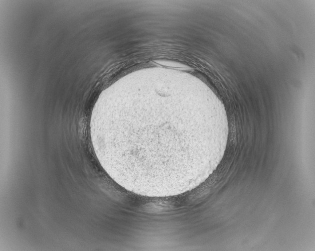 X0000115060278200912071157