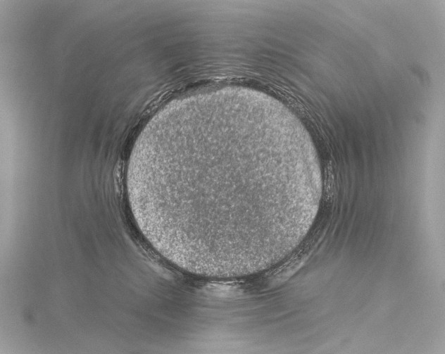 X0000115060280200912071157