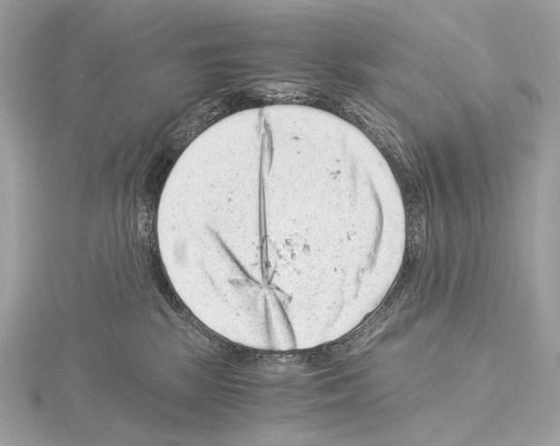 X0000115060281200912071157