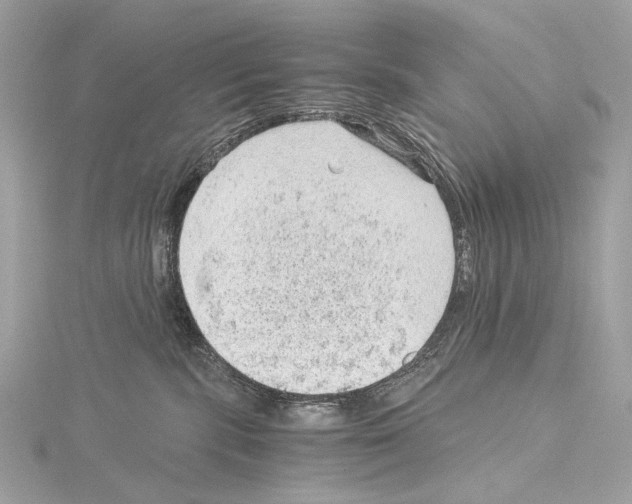 X0000115060283200912071157