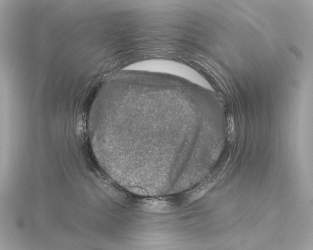 X0000115060284200912071157