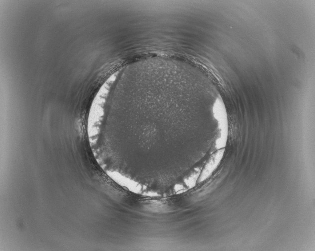 X0000115060285200912071157