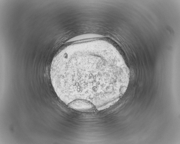 X0000115060286200912071157