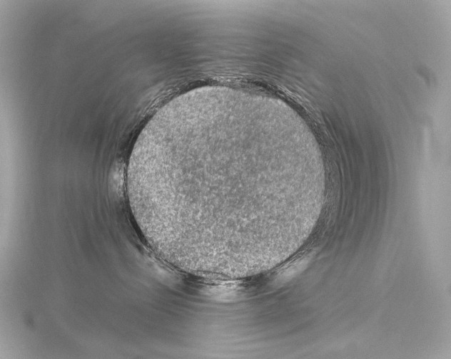 X0000115060288200912071157