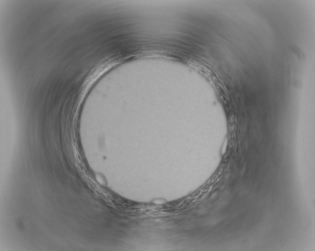 X0000115060289200912071157