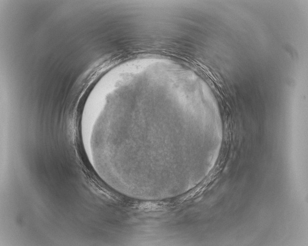 X0000115060290200912071157