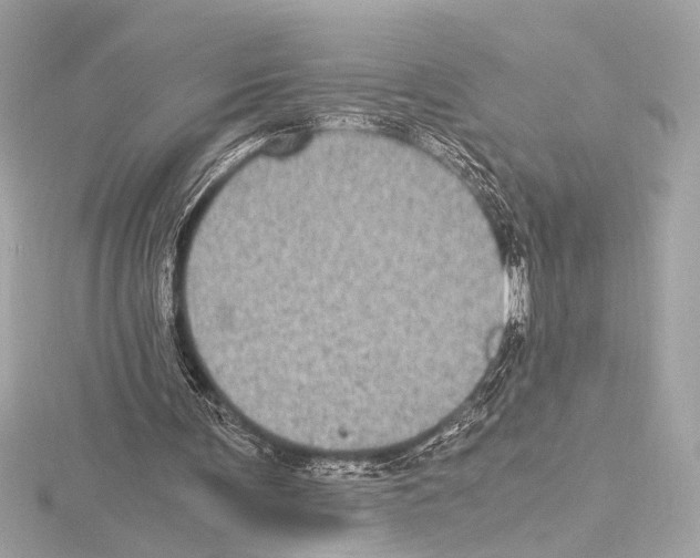 X0000115060291200912071157