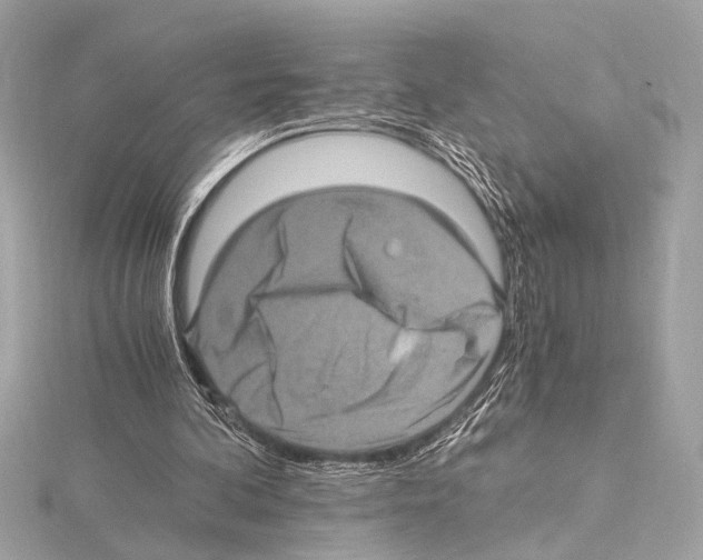 X0000115060292200912071157