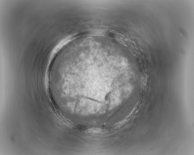 X0000115060294200912071157