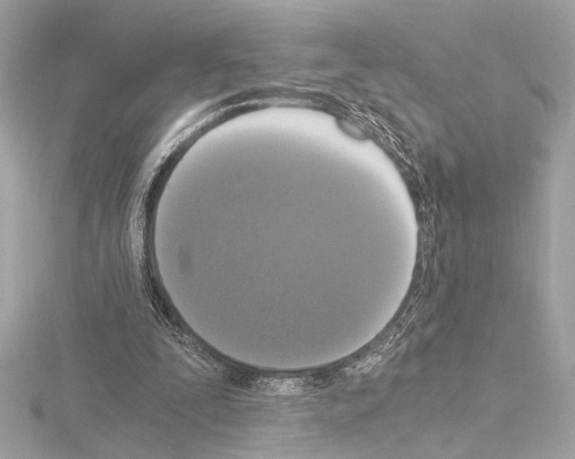 X0000115060295200912071157