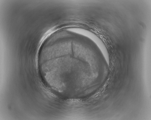 X0000115060296200912071157