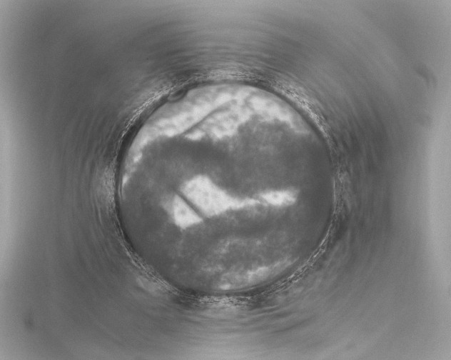 X0000115060297200912071157