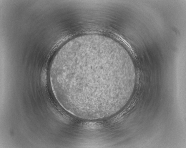 X0000115060298200912071157