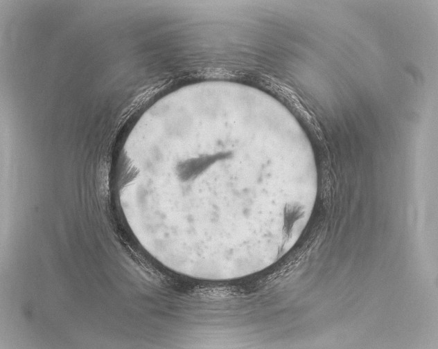 X0000115060299200912071157