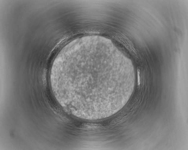 X0000115060300200912071157