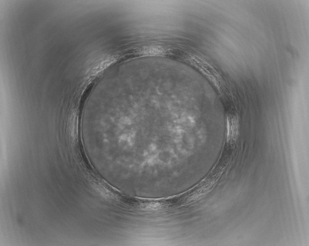 X0000115060301200912071157