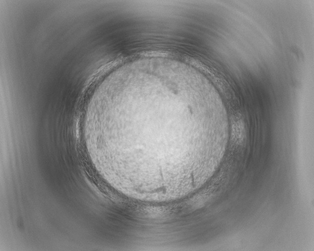 X0000115060302200912071157