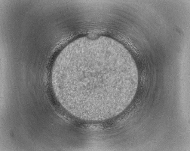 X0000115060303200912071157