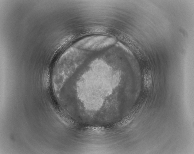 X0000115060304200912071157