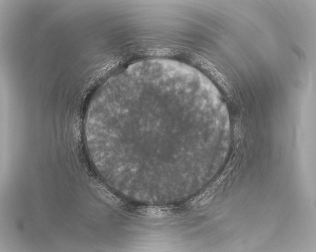 X0000115060305200912071157