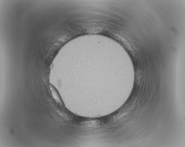 X0000115060307200912071157