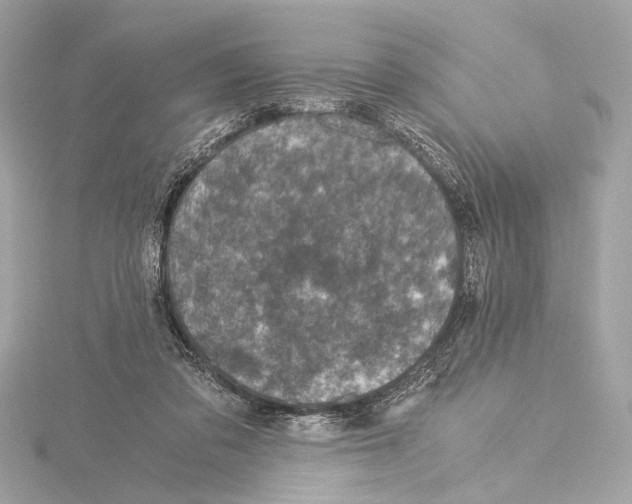 X0000115060309200912071156