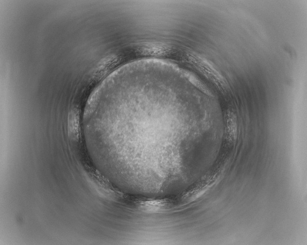 X0000115060312200912071156