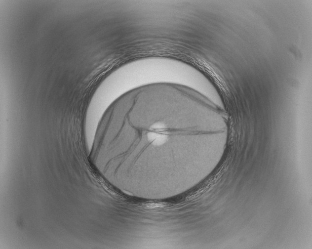 X0000115060313200912071156