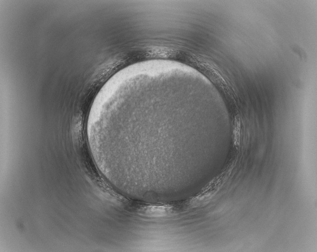 X0000115060314200912071156