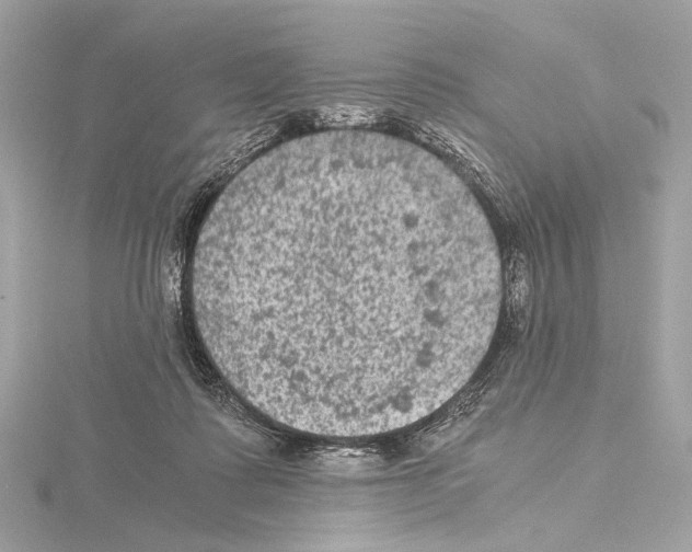 X0000115060315200912071156