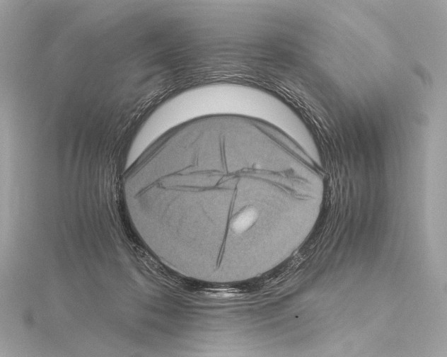 X0000115060316200912071156