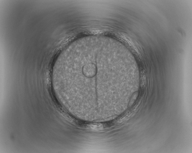 X0000115060317200912071156