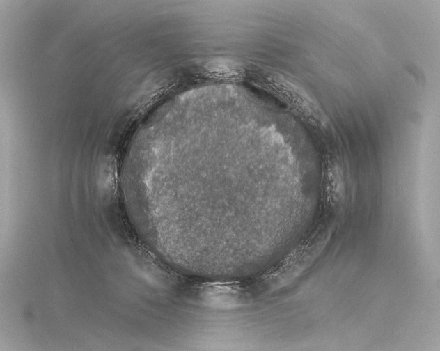 X0000115060320200912071156