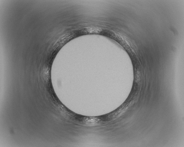 X0000115060321200912071156