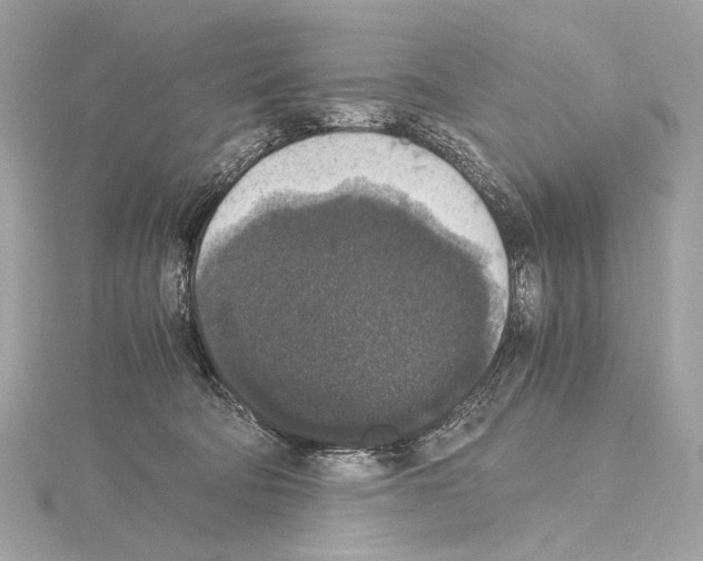 X0000115060322200912071156