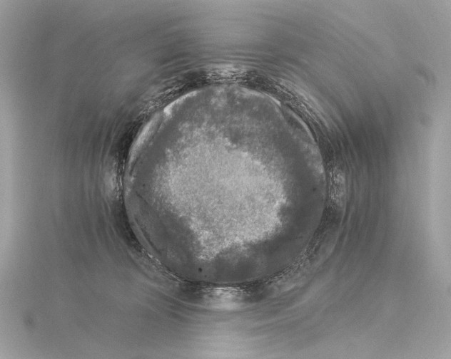 X0000115060324200912071156