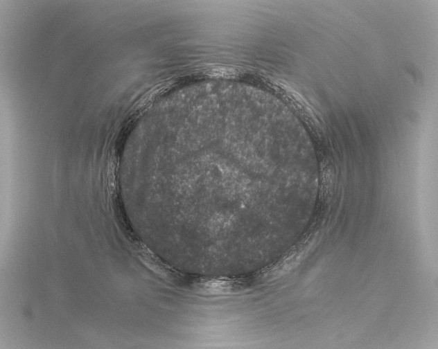 X0000115060325200912071156