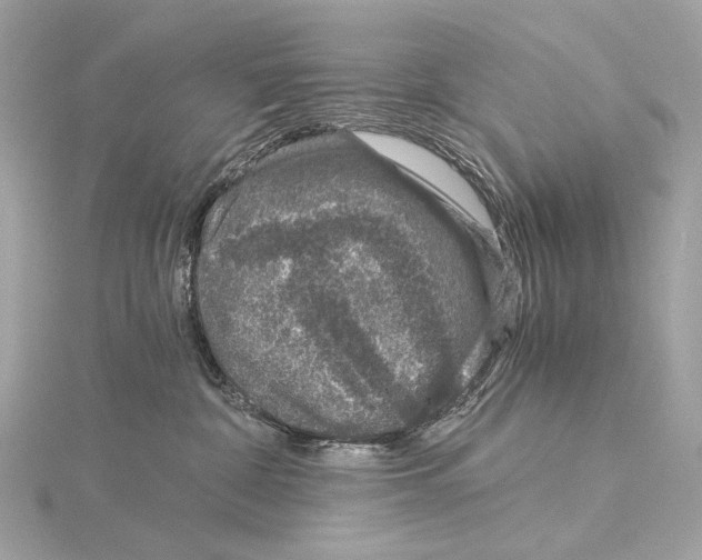 X0000115060332200912071156