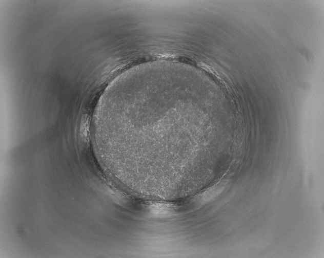 X0000115060336200912071156