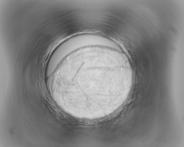 X0000115060337200912071156