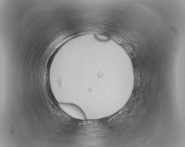 X0000115060338200912071156