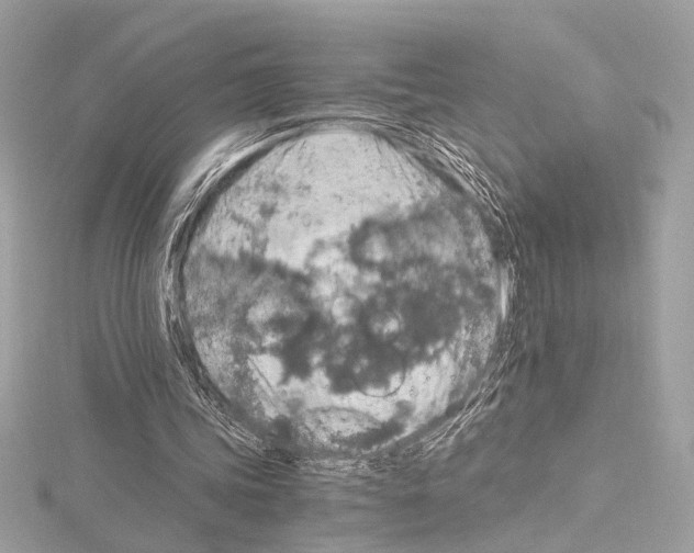 X0000115060339200912071156